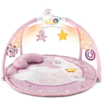 Babies play gym